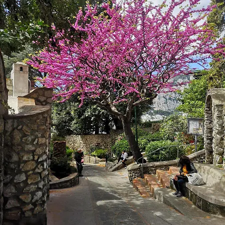 Il Blù Hébergement de vacances